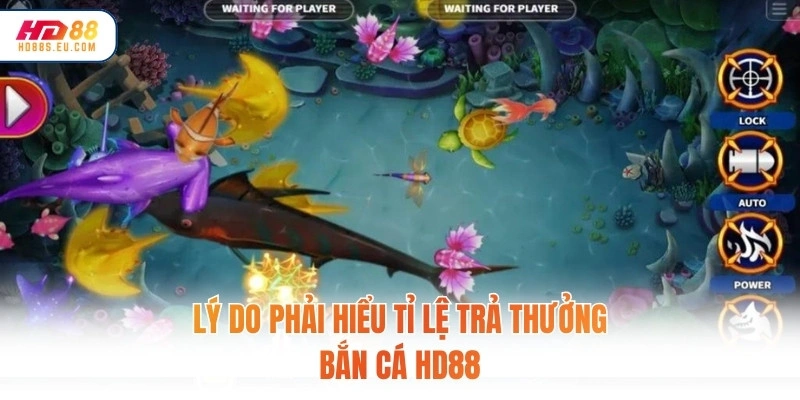 Lý do phải hiểu tỉ lệ trả thưởng bắn cá HD88
